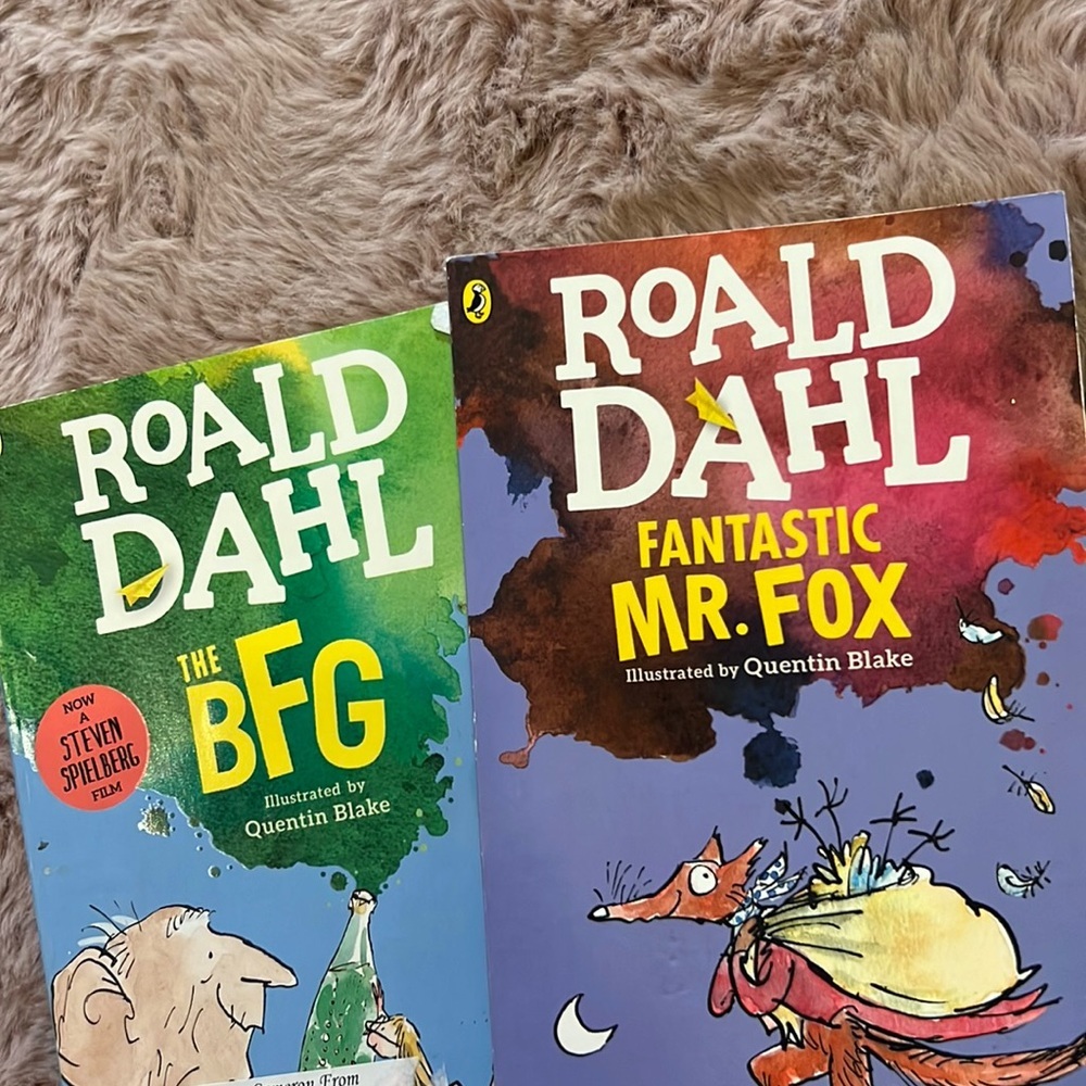 Set of 2 Ronald Dahl books by Quentin Blake ages 7 & up Fantastic Fox & The BFG​
